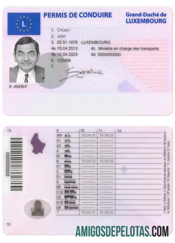 Carta de condução do Luxemburgo baixar para verificação